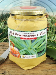 Aloe Arborescens et miel, recette Super du Père Romano Zago